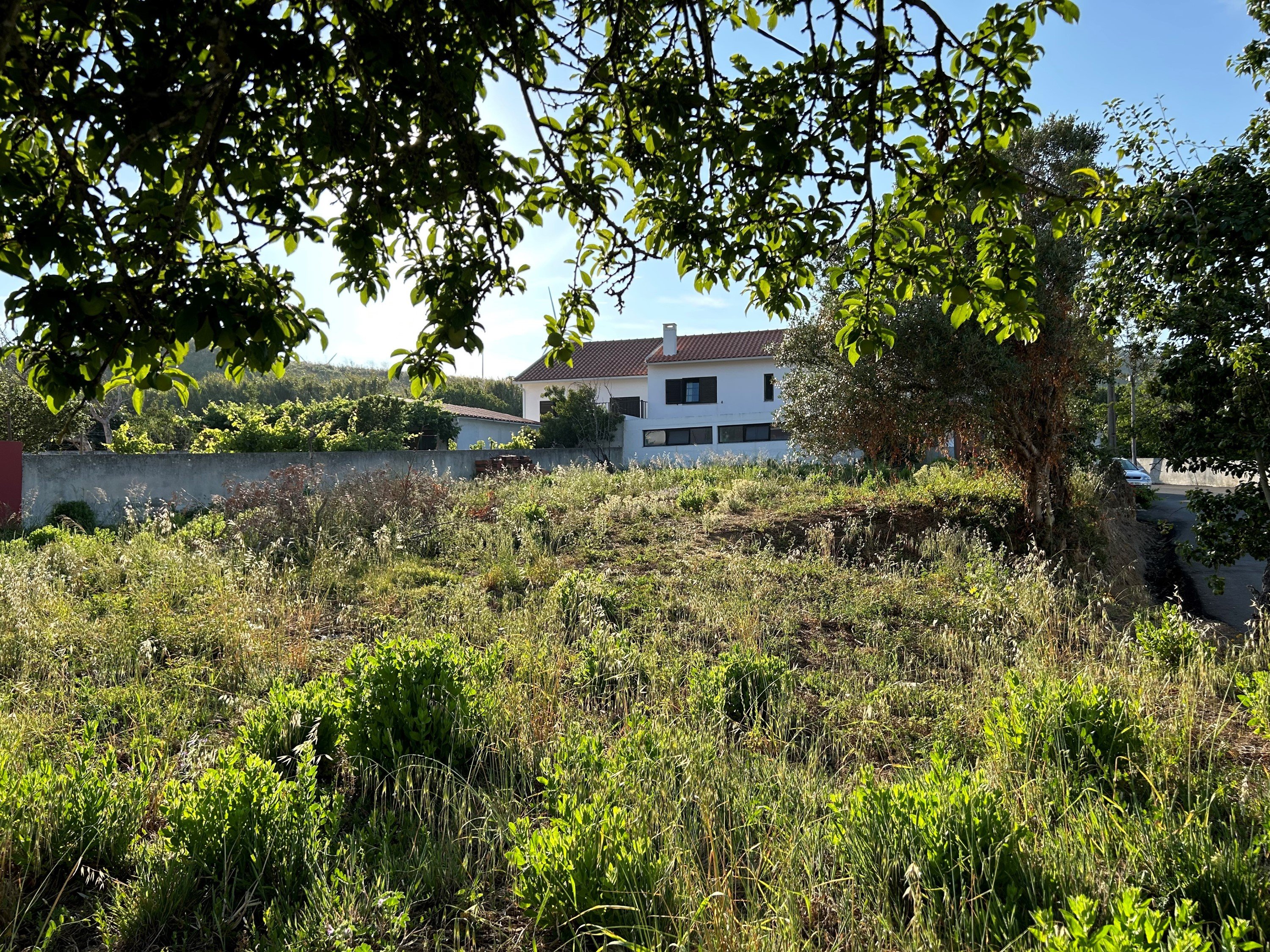 Land with possibility of building - Freiria, 15 km from Ericeira. Mafra › Ericeira 3872111759