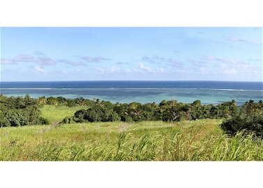 Land accessible to foreigners in an IRS domain in Bel Ombre, in the south of Mauritius 73553034