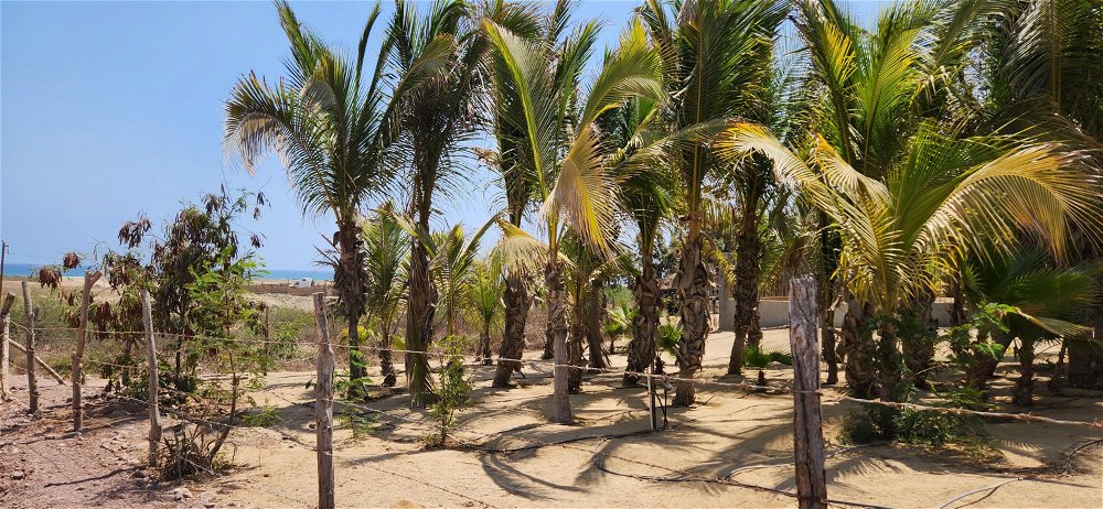Land For Sale in Cabo San Lucas 3749683461