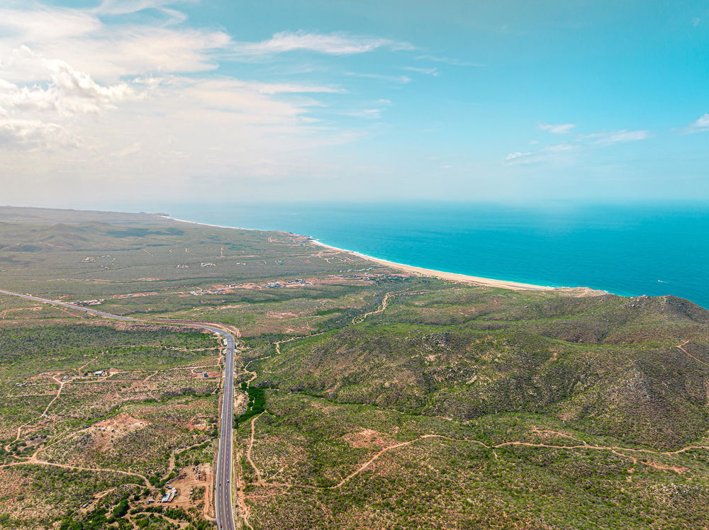 Viñedos Del Pacifico 3445024236