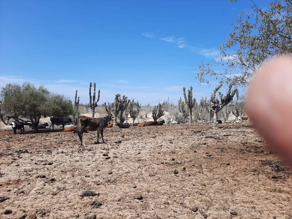 Terreno carretera al norte 1425138300