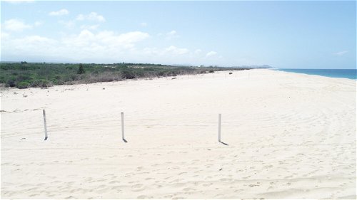 Todos Santos beachfront 748193321