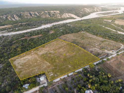 Agua Caliente Orchard 13 Acres 3010173541