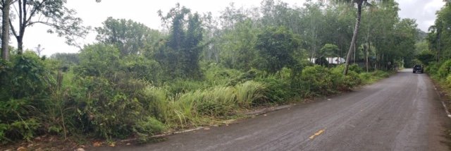 Land in Mai Khao for Sale 3288644212