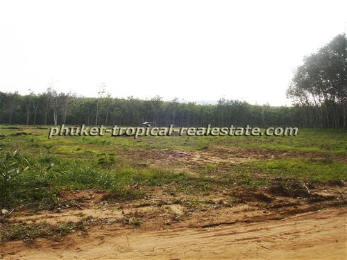 Land in Thalang for sale 332536685