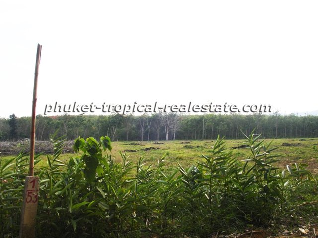 Land in Thalang for sale 332536685